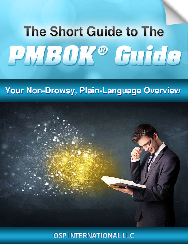 Short_Guide_to_The_PMBOK_Guide_Cover.jpg - 97.95 kB