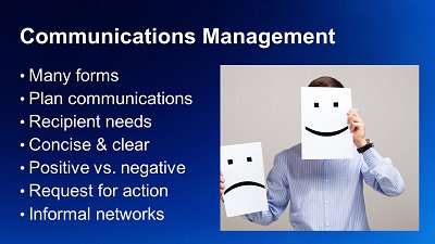 Sample 2: The Role of The Project Manager
