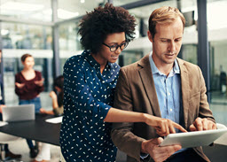 Everything You Need for CAPM PrepCast for CAPM