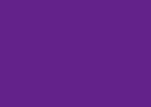 purple.jpg - 2.38 kB