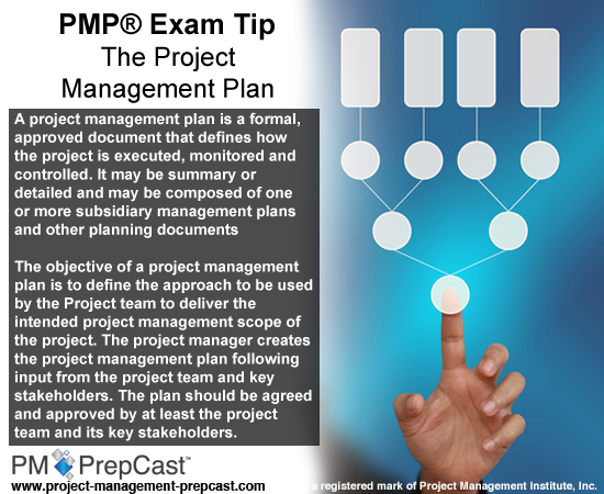 The_Project_Management_Plan.png - 185.46 kB